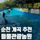 해변산장 | 🌊 [순천 계곡 추천] 가뭄에도 시원함 보장! 들물관광농원 청소골 산장 내돈내산 솔직 후기 🐔