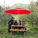 잭과 사과나무 이미지