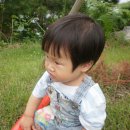 금광2리 이미지