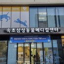속초삼성동물메디컬센터 이미지