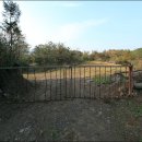 신흥사슴목장 이미지