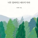 너무 잘하려고 애쓰지 마라 - 나태주 시집 / 열림원 이미지