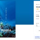 디자인신비 이미지