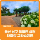 오감배수장 | [블로그 기자] 울산 남구 특별한 쉼터이자 힐링 공간, 태화강 그라스정원