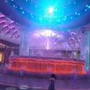 다이아로드 | 여기저기 스튜디오 시티 호텔 / 갤럭시 호텔 다이아 몬드 쇼/ 로드스토우 베이커리 (에그타르트 솔직후기)