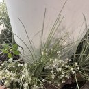 새롬동 복컴 3층 이미지