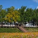 아산사랑의원 | 천안 아산 RSV 예방접종 베이포투스 저렴하게 맞고 온 후기