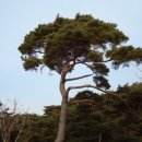 새신리주유소 이미지