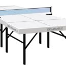 탁구교실 초급 이미지