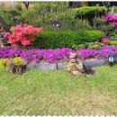 삼척민박 이미지