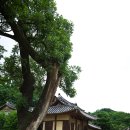 우금촌두암고택 이미지