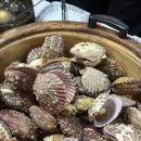 나주포차 | 나주 파도회포차 후기 🐟 가리비찜이랑 모듬사시미 먹고 왔어요