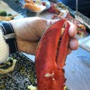 좋은날 대게 회 이미지