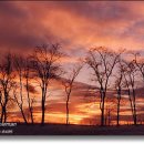 들꽃향기오두막 이미지