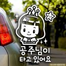 초이자동차용품