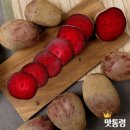 맛통령 이미지