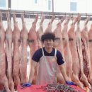 청원정육점