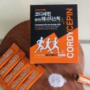 모드니애 슈퍼푸드 | 모드니애 곤충농장 코디세핀 에너지스틱, 수험생영양제 추천 집중력과 피로회복에 효과