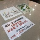 카페풍경 이미지