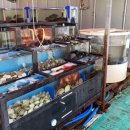 태안자연산횟집 이미지