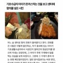 기초수급자 아이가 돈까스먹는 것을 보고 센터에 항의를 넣은 시민(+후기) 이미지