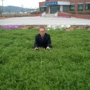 동송읍사무소 이미지