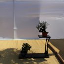 공산중학교 이미지