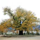 느티나무공방 이미지