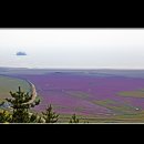 덕산초등학교 이미지