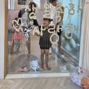 스테이다정다감 | [양양]스테이다정다감/강원도 독채펜션/주문진항 양양써피비치 인근/키즈 풀빌라/가족여행 독채