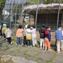 부현초등학교 이미지