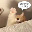 밈밈케이쿠 이미지