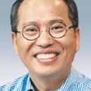 로뎀나무 이미지