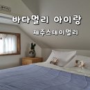 제주스테이 멀리 이미지