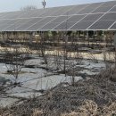 나무나무1호 태양광발전소 | 태양광 발전소 바닥 필름 잘못 깔면 생기는 일 – 농업용 필름 3년 만에 이렇게 됩니다