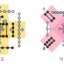 [음양오행이 뭘까] 하도와 낙서 이미지