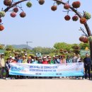 갯골생태공원 이미지