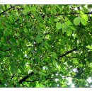 규암초등학교-4 이미지