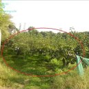 죽백2리마을회관 이미지