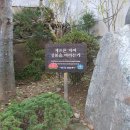 GS25단양중앙로점 | [국내여행/단양] 구인사로 단풍구경 간 후기 (10/29)