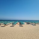 해운대 고메밀면 이미지