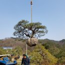 구암동387 이미지