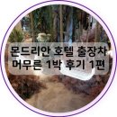 몬드리안 호텔에서 출장차 머무른 이태원 킹 객실 1박 후기 I