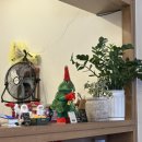 쌀국수집 봉곡2호점 | 구미 봉곡동 맛집 쌀국수집 매콤한 팟타이와 새우볶음밥 맛있어요