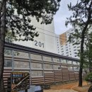 하단동1173 이미지