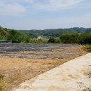 귀촌공인중개사사무소 이미지