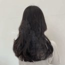 노블미용실 이미지