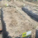 한골농장 이미지