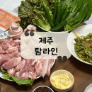 추암1리증암마을기업 영농조합법인 | [제주 맛집] 당일배송 가능한 제주 흑돼지 선물, 캠핑세트 추천 &#34;탐라인&#34;
