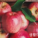 생활의 향기 네이버블로그